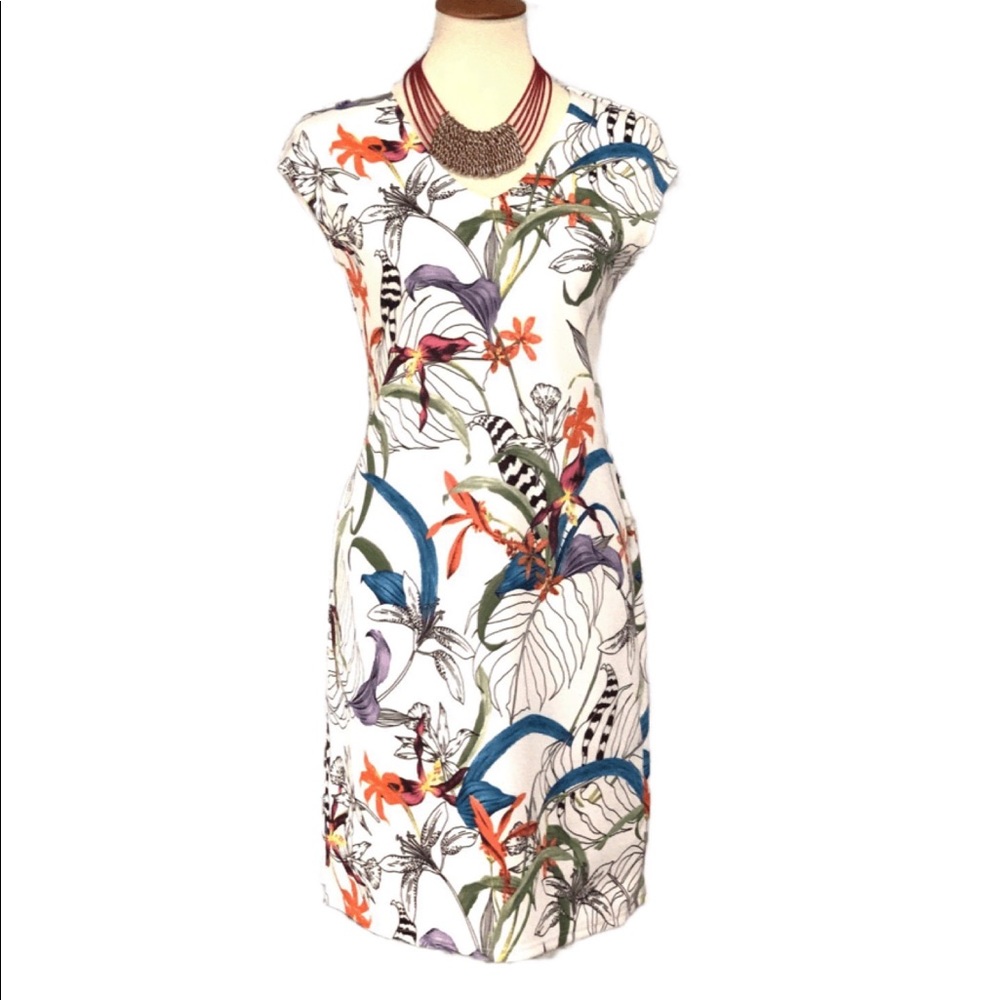 Arianne floral shirt sleeve dress nwt multiple sizes